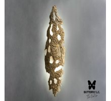 Бра Bark/460*160 Brass
