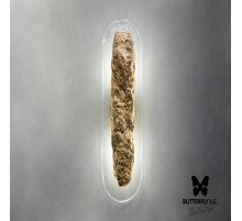 Бра Lava/Handmade Glass Brass