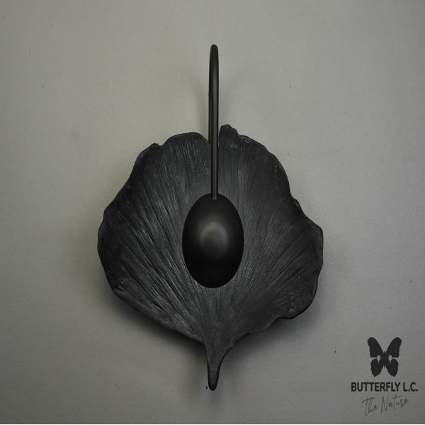 Бра Lotus Leaf Graphite