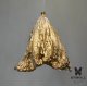 Люстра Campanula 116 Brass