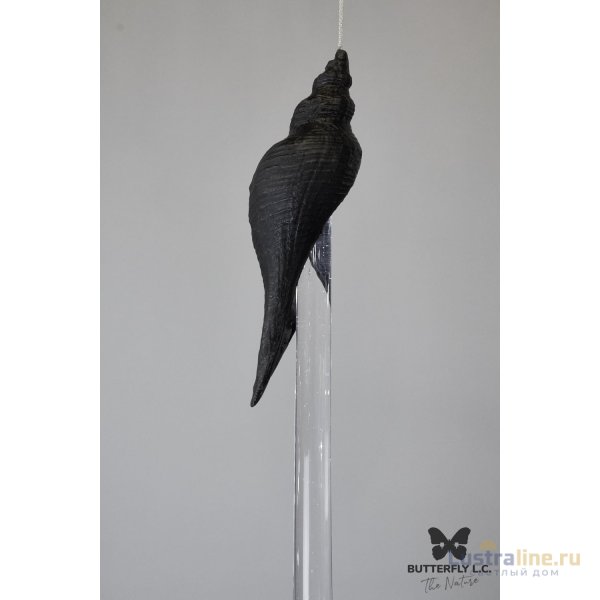 Люстра Shell 107/Drop Graphite