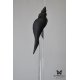 Люстра Shell 107/Drop Graphite
