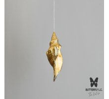 Люстра Shell 108 Brass
