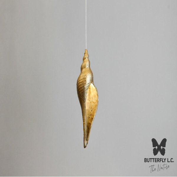 Люстра Shell 107 Brass