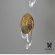 Люстра Wallnut B/Brass