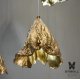 Люстра Campanula 116 Brass