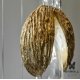 Люстра Wallnut B*6+S*4/30 Brass