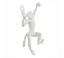 Бра Evoluce Tenato SLE115111-01