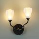 Бра Odeon Light Gardi Modern 5090/2W