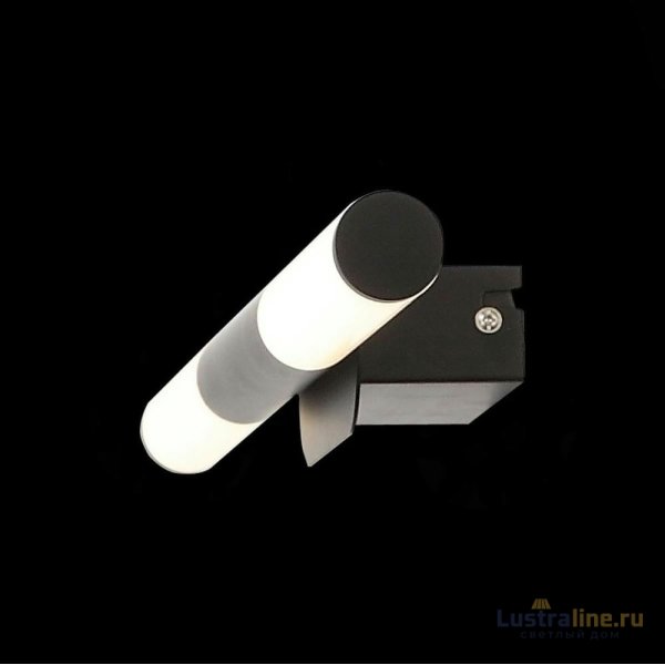 Светильник для картин ST-Luce SL1593.401.02 Светильник для картин ST-Luce SL1593.401.02