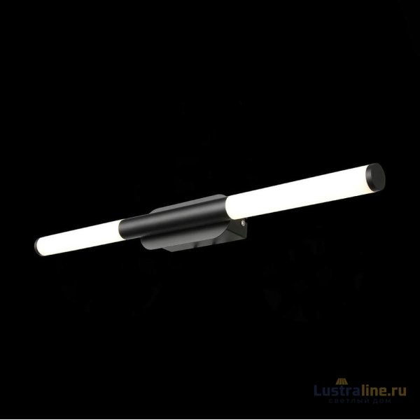 Светильник для картин ST-Luce SL1593.401.02 Светильник для картин ST-Luce SL1593.401.02