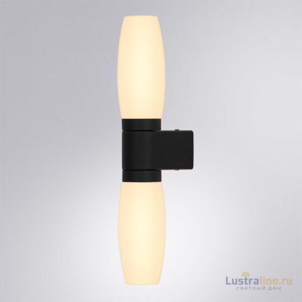 Подсветка для зеркал Arte Lamp Aqua-bastone A1209AP-2BK