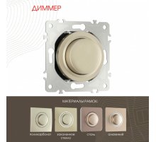 Диммер Arte Milano 202.48-1.shampan