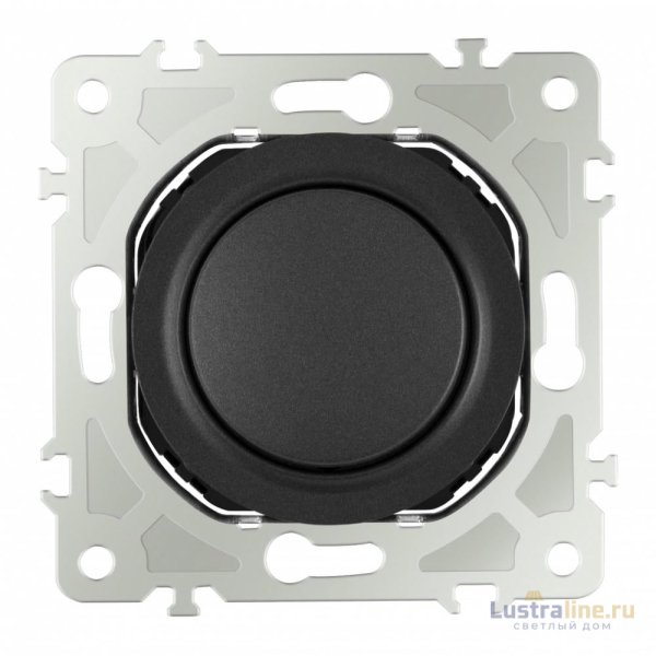 Диммер Arte Milano 202.48-1.black