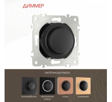 Диммер Arte Milano 202.48-1.black