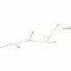 Гирлянда Роса Uniel ULD-S0500-125/DTA WARM WHITE IP20 DEWDROP UL-00012122
