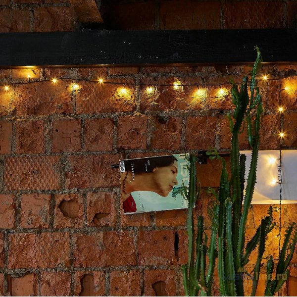 Гирлянда Uniel ULD-S2000-200/DGA COPPER IP20 UL-00011301