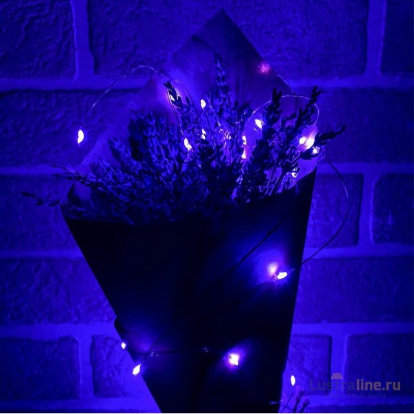 Гирлянда Uniel ULD-S0200-020/SСB/2AA PURPLE IP20 DEW UL-00010897 Гирлянда Uniel ULD-S0200-020/SСB/2AA PURPLE IP20 DEW UL-00010897
