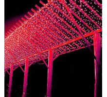 Светодиодная гирлянда (07940) Uniel занавес 220V красный ULD-N2520-240/DTA RED IP20