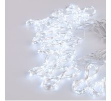 Гирлянда Eurosvet 200-006 200-006 белый 2*2,6м IP20 a060424