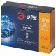 Светодиодная гирлянда Эра ENIN-1000W Б0060430