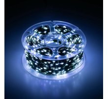 Светодиодная гирлянда Эра ENIN-2000W Б0060429