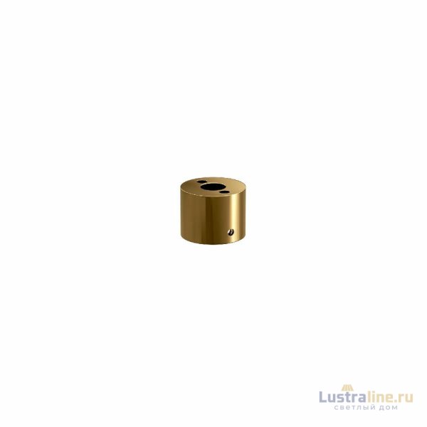 Крепления для гибкого неона Elektrostandard Full light FL 2820 латунь 4690389195983 a063436