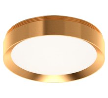 Насадка передняя для корпуса светильника Ambrella Light DIY Spot N8124