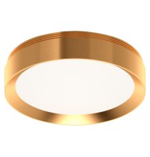 Насадка передняя для корпуса светильника Ambrella Light DIY Spot N8124