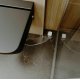Умный датчик протечки воды Elektrostandard 76220/00 4690389186813 a060339
