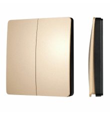 Кнопочная панель Arlight KINETIC-801-22-2G-WP-SUF Gold (No battery, IP67, 433Mhz) 043313