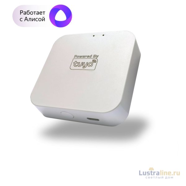 WIFI конвертер Denkirs SMART DK7400-WF