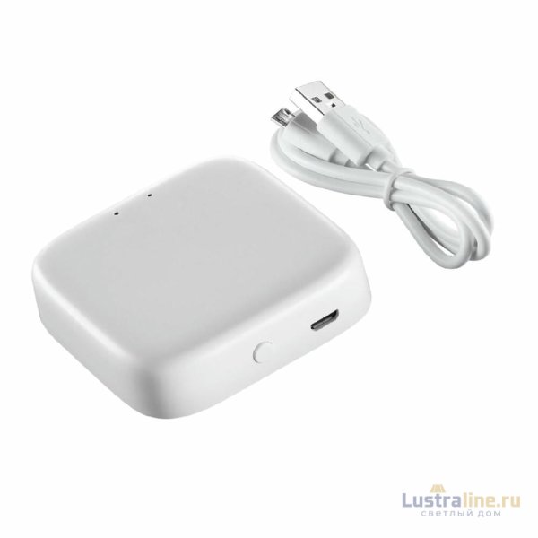Интеллектуальный Bluetooth-шлюз для умного дома Novotech Easy Gate 359457