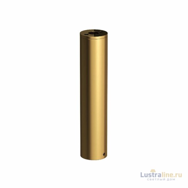 Крепления для гибкого неона Elektrostandard Full light FL 28120 латунь 4690389195914 a063434