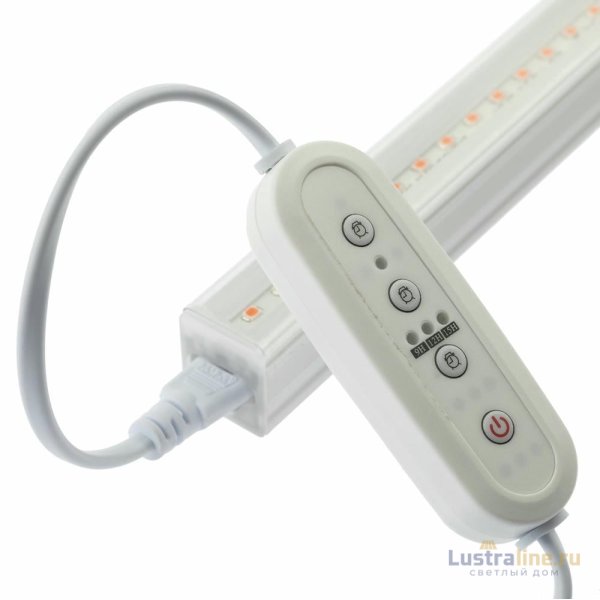 Таймер ЭРА Profi green light Fito-Linetime Б0049314