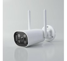 Умная видеокамера Elektrostandard WF 76500/01 4690389211850 a069150