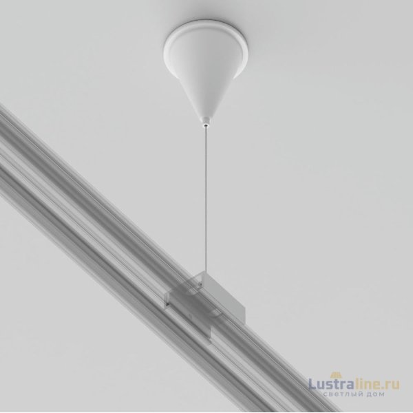 Подвес Maytoni Technical Accessorises TRA005WS-31W