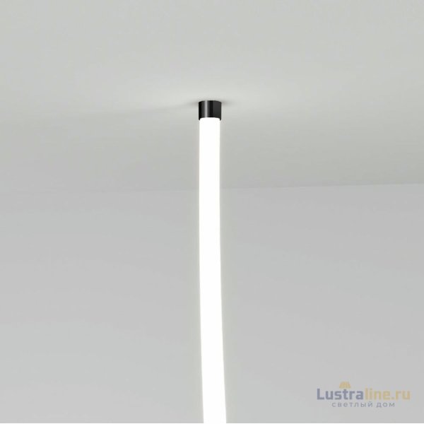 Крепления для гибкого неона Elektrostandard Full light FL 2820 черный 4690389195990 a063437
