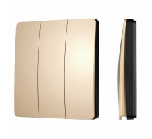 Кнопочная панель Arlight KINETIC-801-22-3G-WP-SUF Gold (No battery, IP67, 433Mhz) 051677