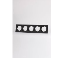 Рамка пятиместная ELBI Vega 510-014800-250