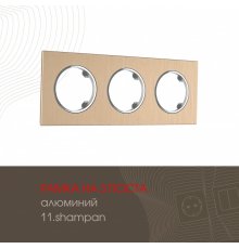 Рамка трехместная Arte Milano 502.11-3.shampan