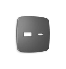 Лицевая панель для розетки 2USB тип A+C Ambrella Volt Omega OP6610