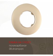 Рамка одноместная Arte Milano 502.08-1.shampan