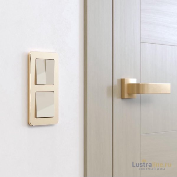 Рамка на 2 поста Werkel Platinum шампань 4690389184468 W0022611