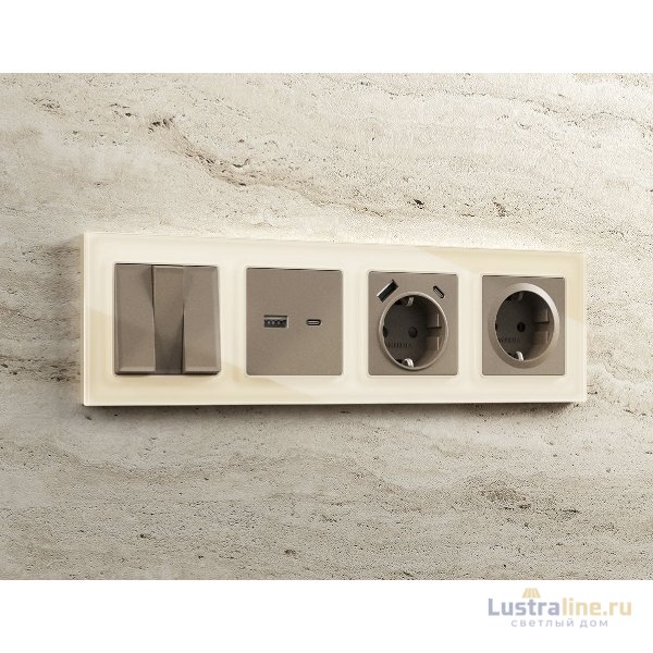 Лицевая панель для розетки 2USB тип A+C Ambrella Volt Alfa AP6410