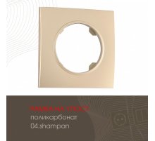 Рамка одноместная Arte Milano 502.04-1.shampan
