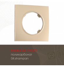 Рамка одноместная Arte Milano 502.04-1.shampan