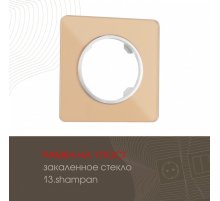 Рамка одноместная Arte Milano 502.13-1.shampan