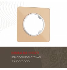 Рамка одноместная Arte Milano 502.13-1.shampan