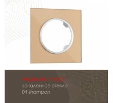 Рамка одноместная Arte Milano 502.01-1.shampan